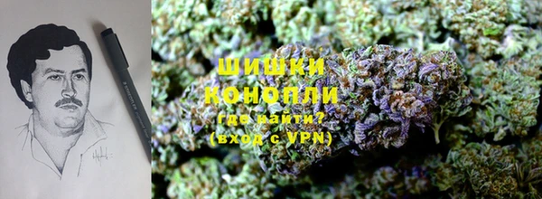 гидропоника Балабаново