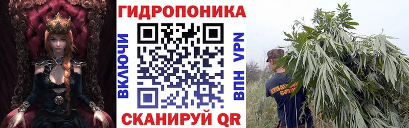 Шишки марихуана LSD WEED  ОМГ ОМГ ТОР  Дзержинск 
